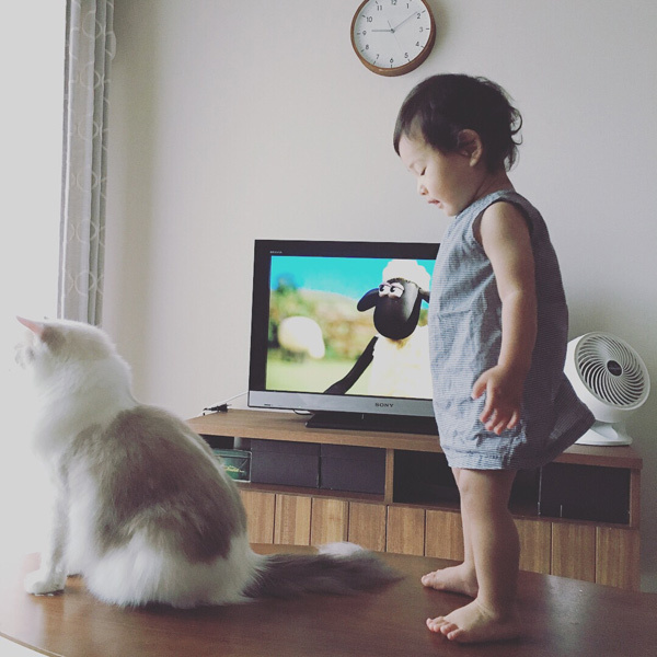 【いぬねこ うちのこ。】フガちゃん（1歳）と猫のムーム ／ムームママさん