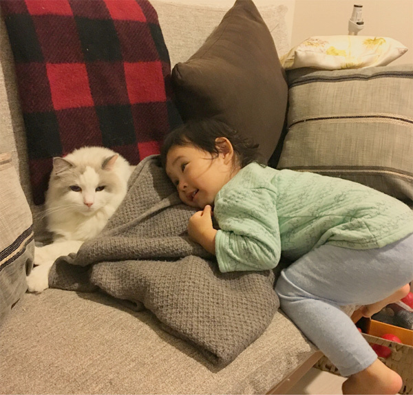 【いぬねこ うちのこ。】フガちゃん（1歳）と猫のムーム ／ムームママさん