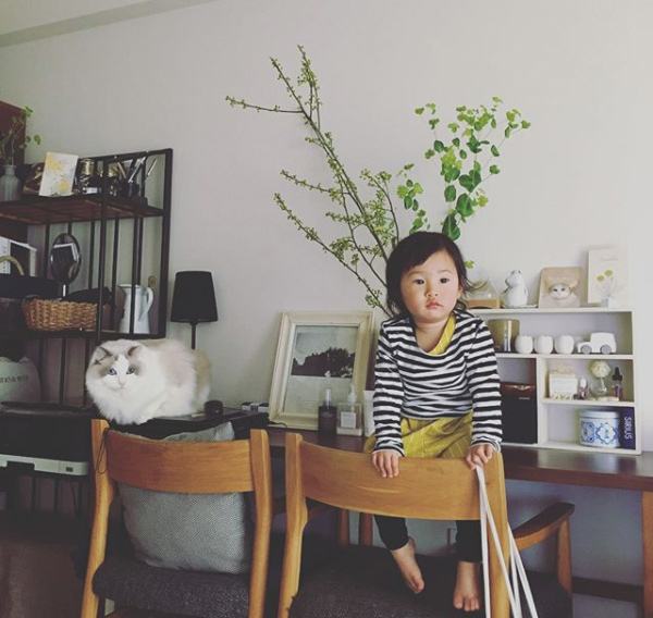 【いぬねこ うちのこ。】フガちゃん（1歳）と猫のムーム ／ムームママさん