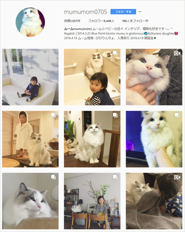 【いぬねこ うちのこ。】フガちゃん（1歳）と猫のムーム ／ムームママさん