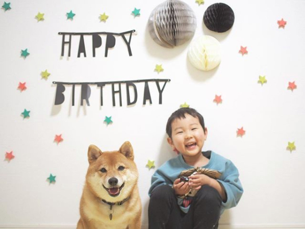 【いぬねこ うちのこ。】柴犬八朔と弟くん（3歳） ／八朔ママさん