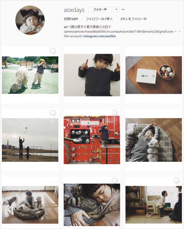 【いぬねこ うちのこ。】お餅くん（３歳）とトイプードルのぱぴこ＆あいす、キジトラのあんみつ／ao*さん