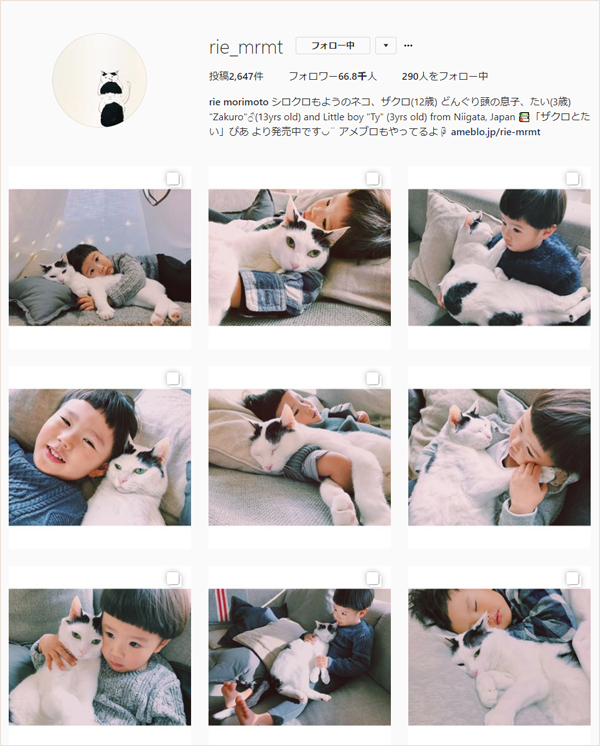 【いぬねこ うちのこ。】たいくん（3歳）と猫のザクロ／もりもとりえ さん