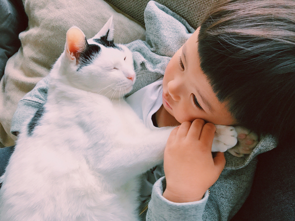 【いぬねこ うちのこ。】たいくん（3歳）と猫のザクロ／もりもとりえ さん