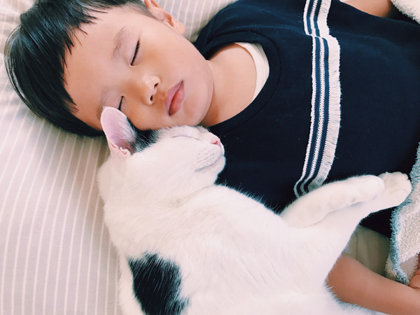 【いぬねこ うちのこ。】たいくん（3歳）と猫のザクロ／もりもとりえ さん