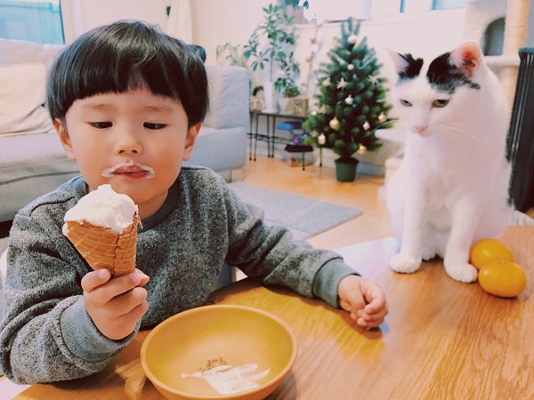【いぬねこ うちのこ。】たいくん（3歳）と猫のザクロ／もりもとりえ さん
