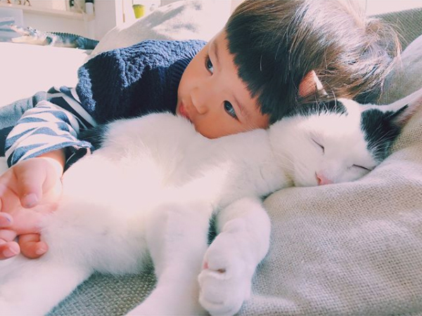 【いぬねこ うちのこ。】たいくん（3歳）と猫のザクロ／もりもとりえ さん