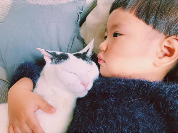 【いぬねこ うちのこ。】たいくん（3歳）と猫のザクロ／もりもとりえ さん