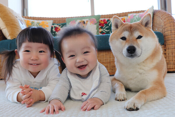 いぬねこ うちのこ もあちゃん 2歳 かいくん 8カ月 と柴犬の銀次郎くん つのだももか さん ウーマンエキサイト