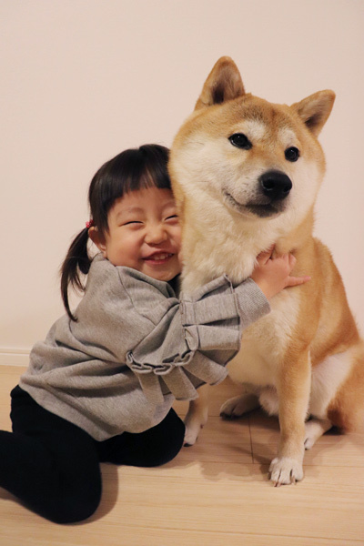 【いぬねこ うちのこ。】もあちゃん（2歳）かいくん（8カ月）と柴犬の銀次郎くん／つのだももか さん