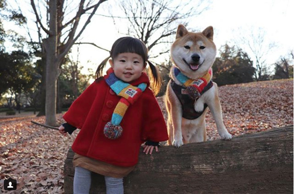【いぬねこ うちのこ。】もあちゃん（2歳）かいくん（8カ月）と柴犬の銀次郎くん／つのだももか さん