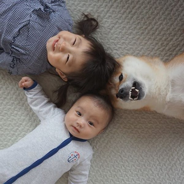 【いぬねこ うちのこ。】もあちゃん（2歳）かいくん（8カ月）と柴犬の銀次郎くん／つのだももか さん