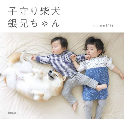 【いぬねこ うちのこ。】もあちゃん（2歳）かいくん（8カ月）と柴犬の銀次郎くん／つのだももか さん