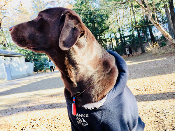 かけがえのない家族、うちのワン＆ニャンたちを「守る」アイテム 3選