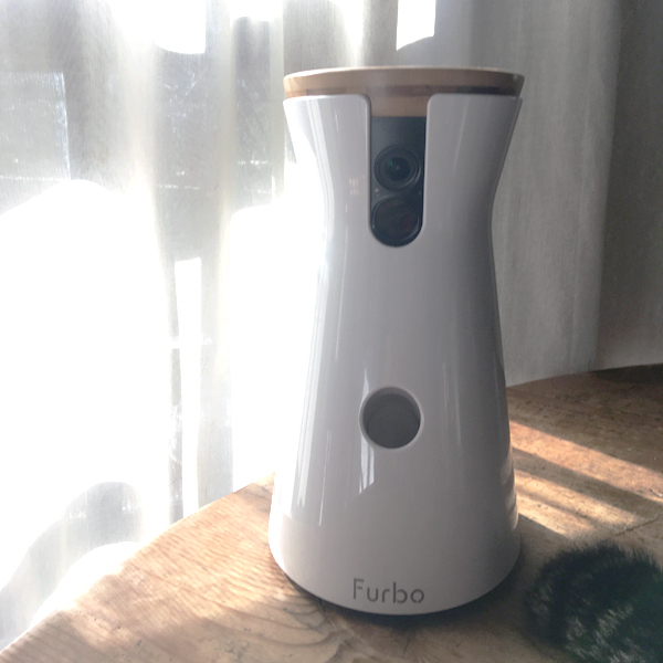 かけがえのない家族、うちのワン＆ニャンたちを「守る」アイテム 3選