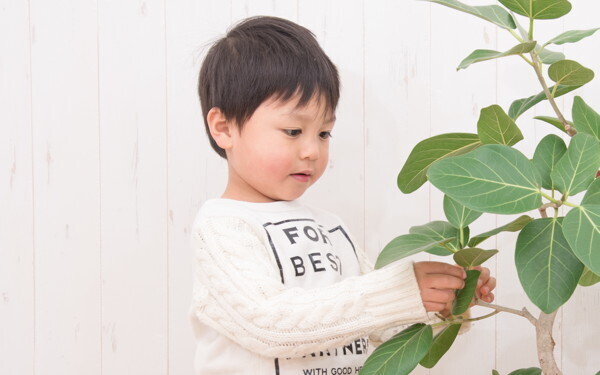 「加湿器いらずの湿度アップ術」でインフルエンザ対策！