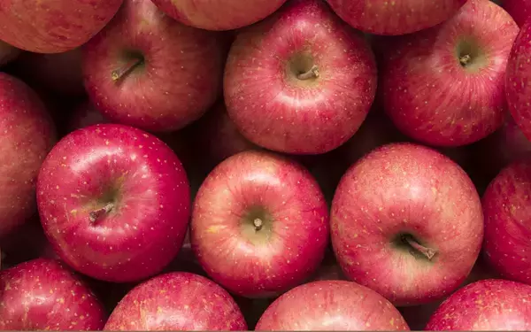 くだらなくて、愛おしい！　「ヨシタケシンスケ」の絵本は親子でニヤけちゃう【親子で楽しむ絵本の時間】 第28回