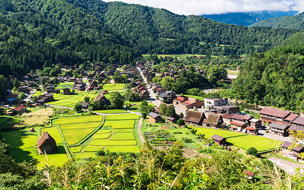 金銭面だけじゃない！　地方移住するかどうかの基準とは
