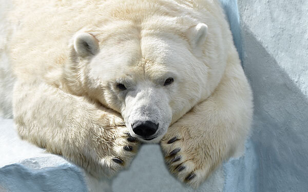 tupera tupera（ツペラツペラ）がつくる、アイデア飛び出すわくわく絵本【親子で楽しむ絵本の時間】 第29回