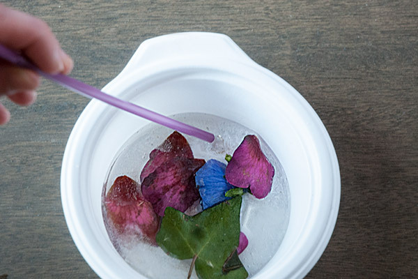 インスタ映え必至のかわいい透明感！　絶対作りたくなる”こおりアート”【昔ながらが”今”楽しい！レトロアートレシピ Vol.2】