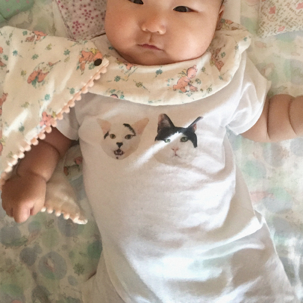 【いぬねこ うちのこ。】あーちゃん（11ヶ月）、パンチョとガバチョ／あゆみさん