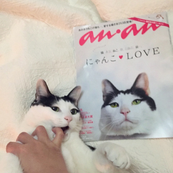 【いぬねこ うちのこ。】あーちゃん（11ヶ月）、パンチョとガバチョ／あゆみさん