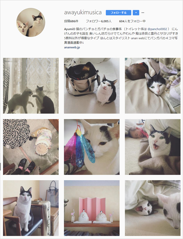 【いぬねこ うちのこ。】あーちゃん（11ヶ月）、パンチョとガバチョ／あゆみさん