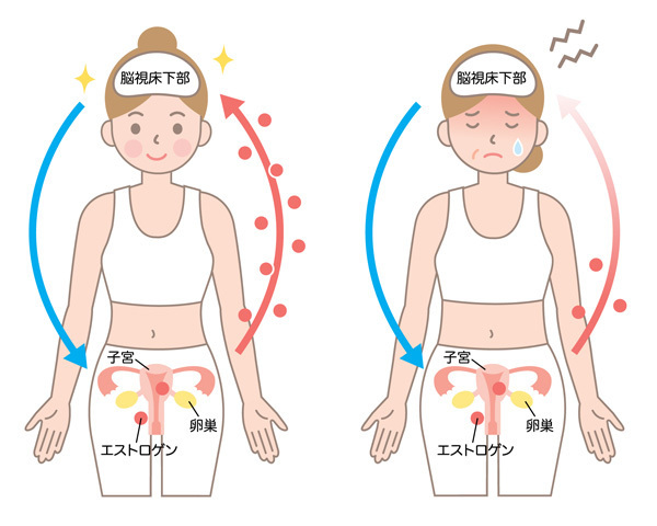 【医師監修】「女性ホルモンの基礎知識」10年後も元気でキレイなママでいるために