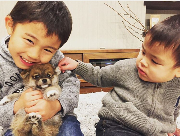 【いぬねこ うちのこ。】いっせいくん（6歳）、しょうきくん（4歳）とポメ柴犬のmiro／はあちゃんさん