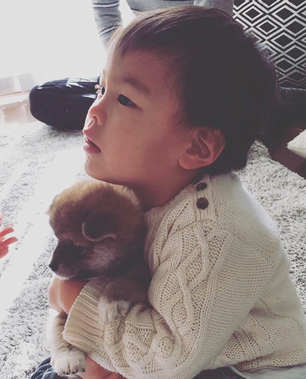 【いぬねこ うちのこ。】いっせいくん（6歳）、しょうきくん（4歳）とポメ柴犬のmiro／はあちゃんさん