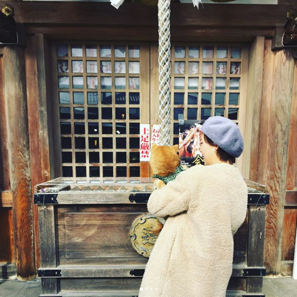 【いぬねこ うちのこ。】いっせいくん（6歳）、しょうきくん（4歳）とポメ柴犬のmiro／はあちゃんさん