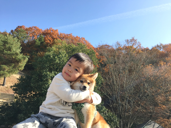 【いぬねこ うちのこ。】いっせいくん（6歳）、しょうきくん（4歳）とポメ柴犬のmiro／はあちゃんさん