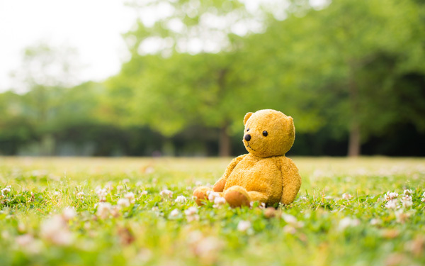 愛すべき夢の世界！　わくわくドキドキが止まらないディズニーの世界