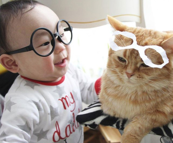 【いぬねこ うちのこ。】キィちゃん（5歳）、ナギくん（２歳）と3匹のねこ ／ayaneko*さん