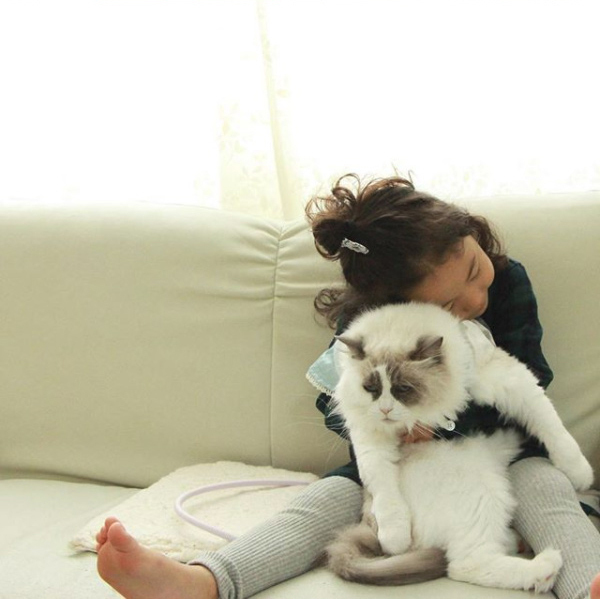 【いぬねこ うちのこ。】キィちゃん（5歳）、ナギくん（２歳）と3匹のねこ ／ayaneko*さん