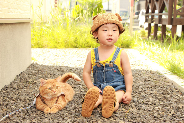 【いぬねこ うちのこ。】キィちゃん（5歳）、ナギくん（２歳）と3匹のねこ ／ayaneko*さん