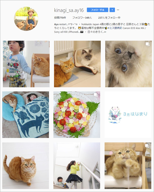 【いぬねこ うちのこ。】キィちゃん（5歳）、ナギくん（２歳）と3匹のねこ ／ayaneko*さん