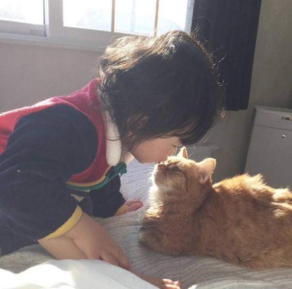 【いぬねこ うちのこ。】キィちゃん（5歳）、ナギくん（２歳）と3匹のねこ ／ayaneko*さん