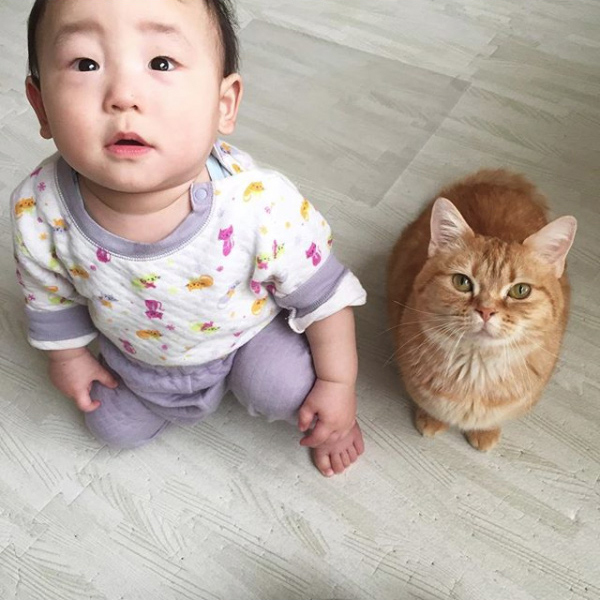 【いぬねこ うちのこ。】キィちゃん（5歳）、ナギくん（２歳）と3匹のねこ ／ayaneko*さん