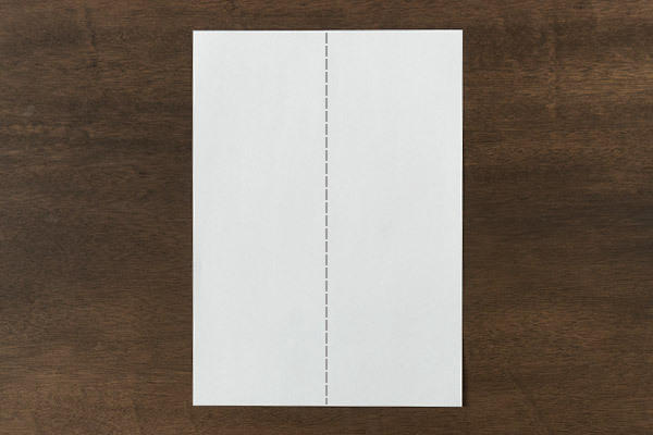 生きているみたい！　どこまでも飛んでいくアクロバット紙飛行機【昔ながらが”今”楽しい！レトロアートレシピ Vol.4】