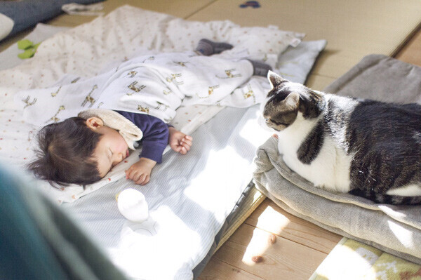 【いぬねこ うちのこ。】晴太くん（２歳）と猫のマイロ／鈴木賢一さん