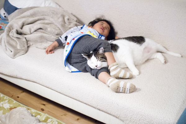 【いぬねこ うちのこ。】晴太くん（２歳）と猫のマイロ／鈴木賢一さん