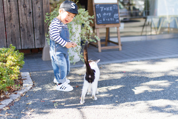 【いぬねこ うちのこ。】晴太くん（２歳）と猫のマイロ／鈴木賢一さん