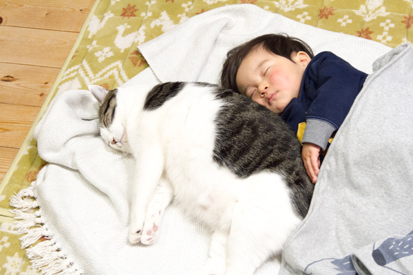 【いぬねこ うちのこ。】晴太くん（２歳）と猫のマイロ／鈴木賢一さん