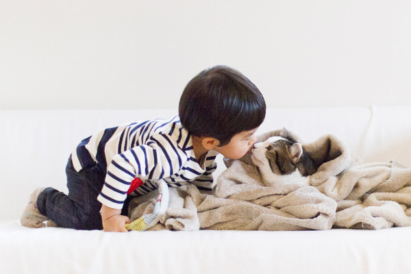 【いぬねこ うちのこ。】晴太くん（２歳）と猫のマイロ／鈴木賢一さん