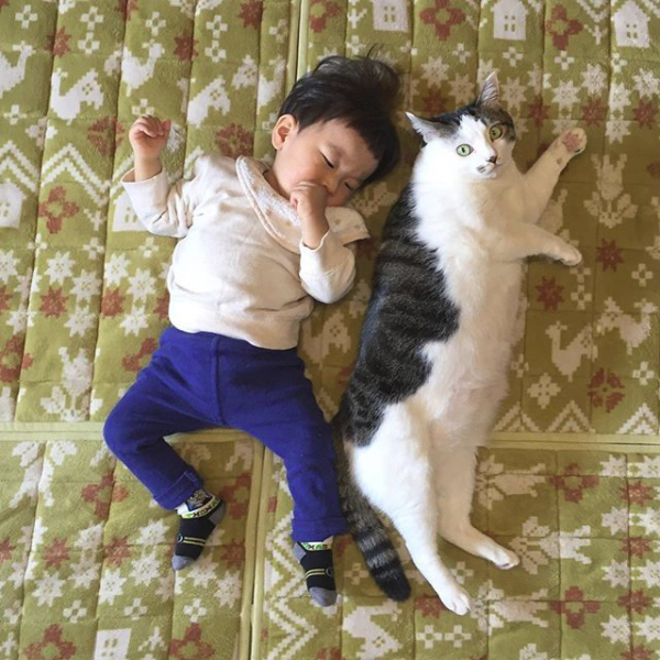 【いぬねこ うちのこ。】晴太くん（２歳）と猫のマイロ／鈴木賢一さん