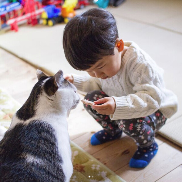 【いぬねこ うちのこ。】晴太くん（２歳）と猫のマイロ／鈴木賢一さん