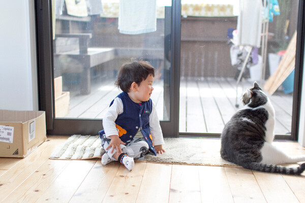 【いぬねこ うちのこ。】晴太くん（２歳）と猫のマイロ／鈴木賢一さん