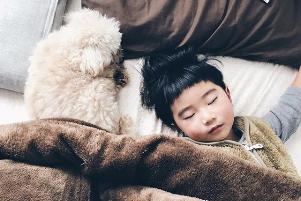 【いぬねこ うちのこ。】そうたくん（２歳）、トイプードルのぷー（16歳）／ぎんぺーさんとyuuuriさん