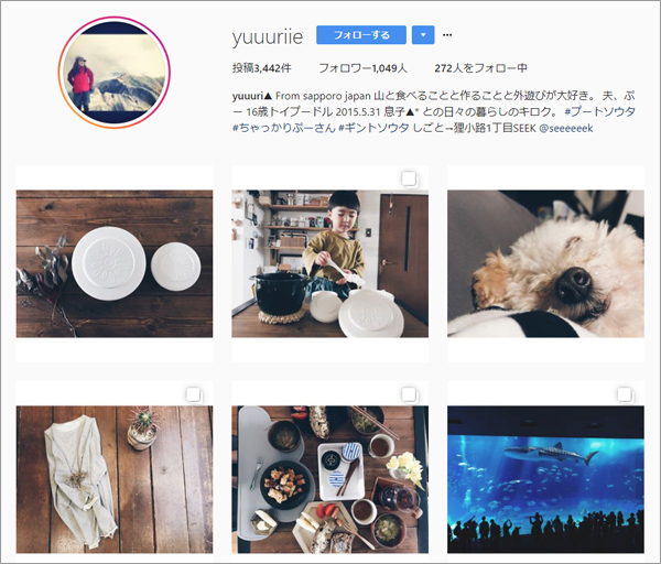 【いぬねこ うちのこ。】そうたくん（２歳）、トイプードルのぷー（16歳）／ぎんぺーさんとyuuuriさん